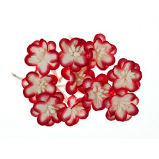 Цветки вишни, набор 10 шт, красный с белым