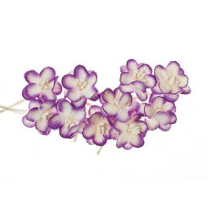 Цветки вишни, набор 10 шт, фиолетовый с белым