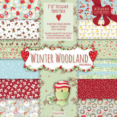 Набор бумаги для скрапбукинга 20*20 Winter Woodland