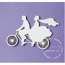 Польский чипбор в день свадьбы молодая пара на велосипеде