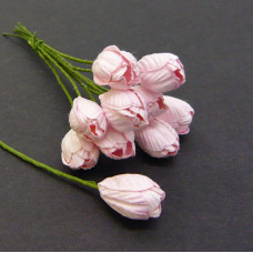 Цветы  «Тюльпаны розовые»