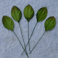 Листья "Зелено" 15 мм