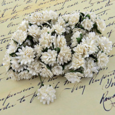 Цветы Астры 15 мм "Белые"