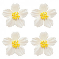 Цветы франжепани, 4 шт, белые