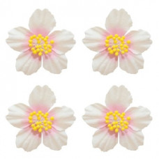 Цветы франжепани, 4 шт, белый с розовым